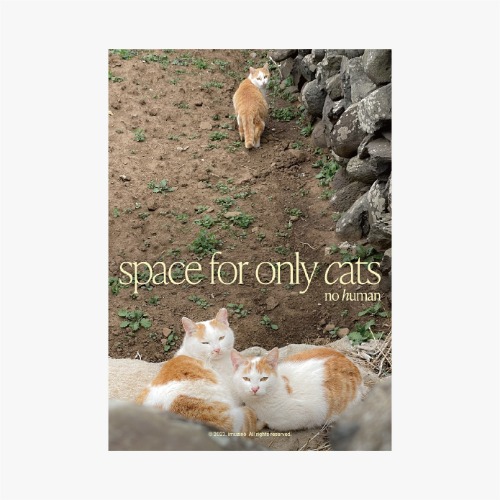 space for only cats