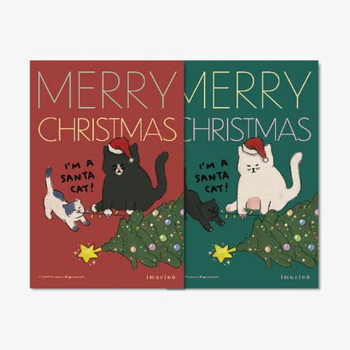 Santa cat christmas card